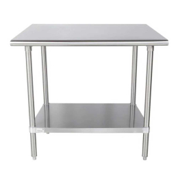 Stainless Steel Worktable with Galvanized Undershelf